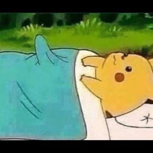 Meet your Posher, Gavin